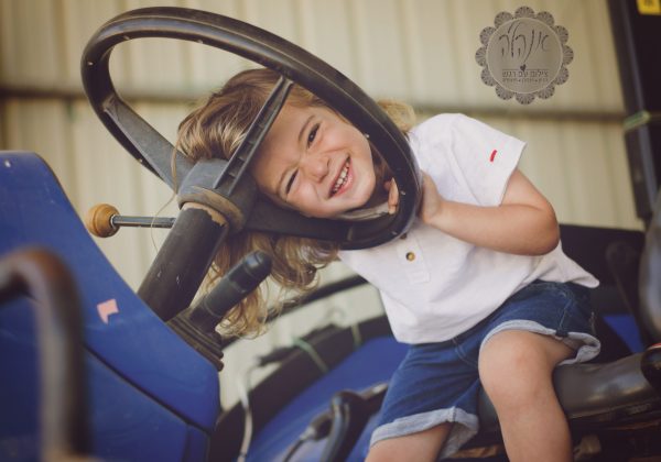 החלום הגדול של גור