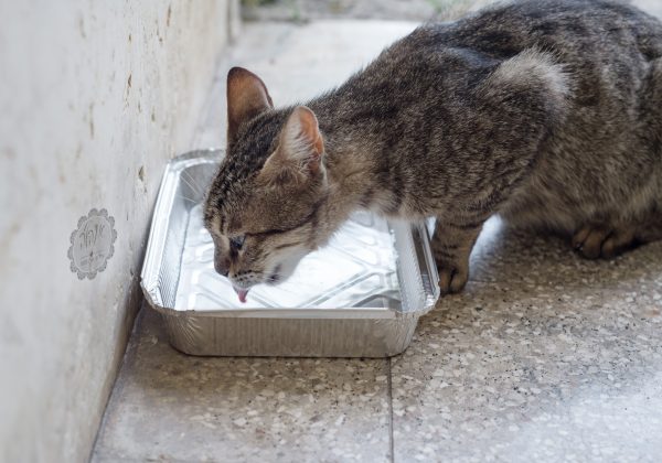 בעבודה – עובדים, עצרתי את הכל ועשיתי רשימות
